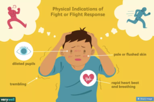 heart rate variability and fight or flight response