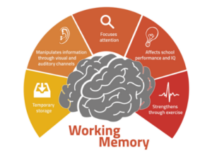 cognitive load - working memory