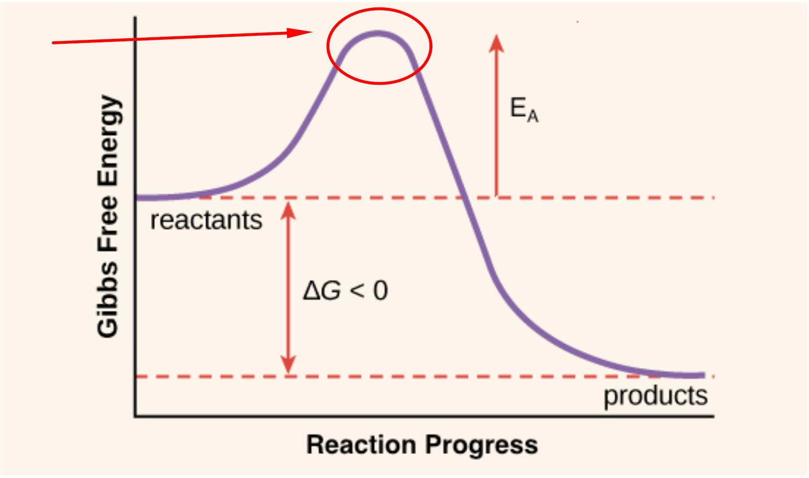 activation energy science